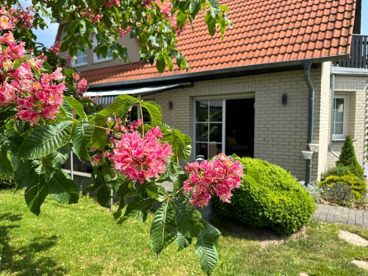 Apartamento Familienurlaub Im Gruenen Wernigerode Exterior foto